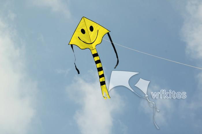 New Design Kite,Happy Smile,1.5m,Promotional Kite ,Leader kite  3