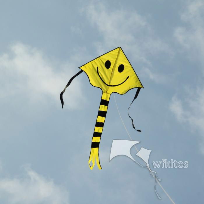 New Design Kite,Happy Smile,1.5m,Promotional Kite ,Leader kite  4
