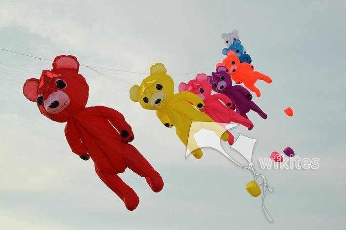 Soft Kite , Bear,3m ,inflatable kite--Leader kite  5