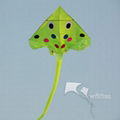 Animal Kite,Boss fish,40m,6m squ,Leader kite 