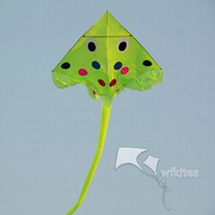 Animal Kite,Boss fish,40m,6m squ,Leader