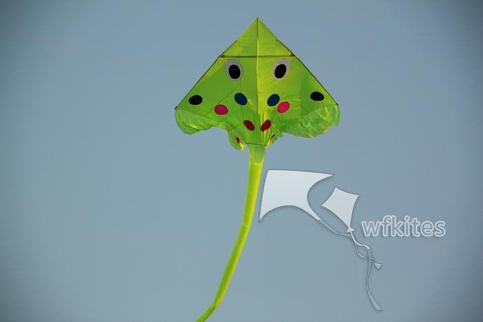 Animal Kite,Boss fish,40m,6m squ,Leader kite  3
