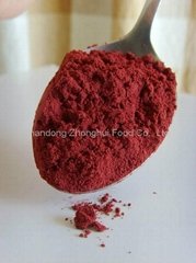 Flagship Monascus Red Food Coloring