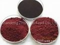 Flagship Monascus Red Food Coloring 5