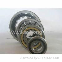 Cylindrical roller bearing