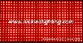 hot LED module  P10 indoor single and tri-color module 2