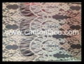 Popular cotton lace underwear 4