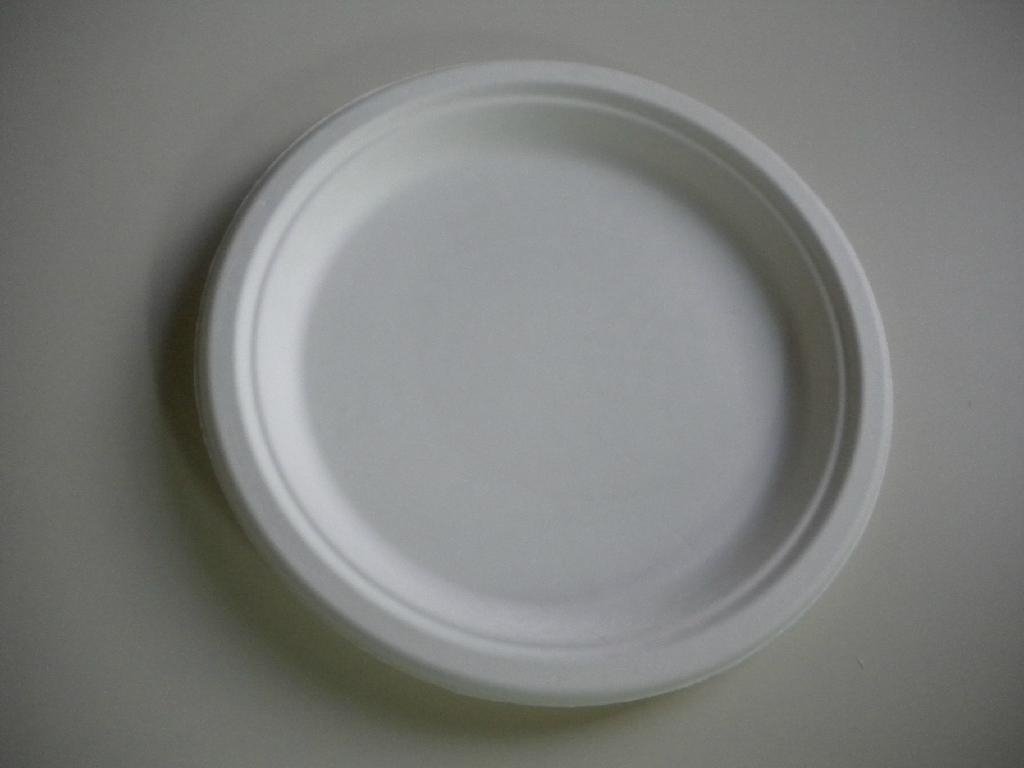 Disposable 9'' Plate