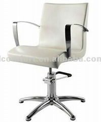 Hot sell salon chair/styling chair/barber chair FBM-088