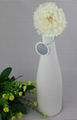 Elegant Ceramic Flower Diffuser Set 1