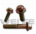 flange bolts