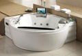 Monalisa luxury massage bathtub plastic