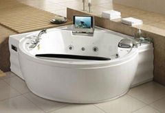 Monalisa luxury massage bathtub plastic bathtub cabin with TV and radio M-2027