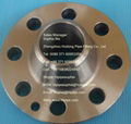 A182 F309H Flange