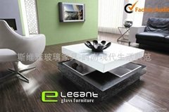 Functional Coffee Table (CA220)