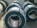 CRNGO electrical steel 50W1000