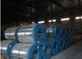 crgo/ cold rolled grain oriented silicon