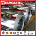 galvanized steel coils with high quality