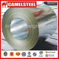 galvanized steel coils with high quality 5