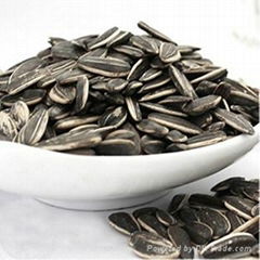 2012 new chinese black sunflower seeds