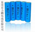 18650 lithium battery 