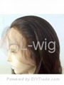 INDIAN REMY HAIR LACE WIG 1