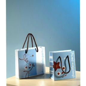 paper garment packing shopping bags 4