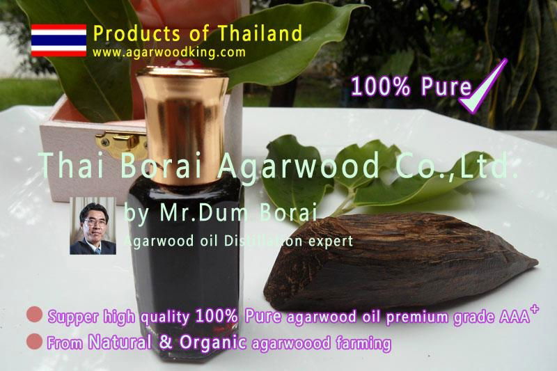 agarwood oil