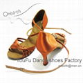High Quality Latin Dance Shoes 2
