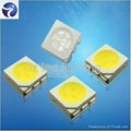 good price 5050 white smd LED  2