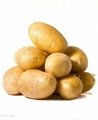 FD IQF potato 3