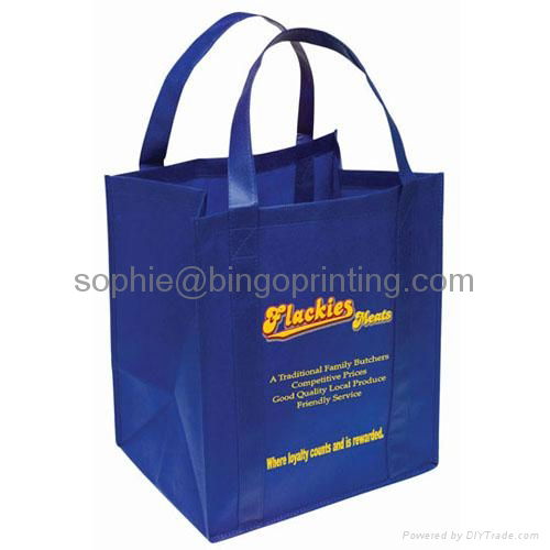 PP Non-woven eco Bag 2