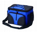 cooler bag 1