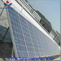 300W Polycrystalline Solar Module 1