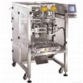 BP Series Economic V.F.F.S Machine