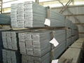 ABS Grade B flat bar 1