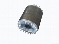 car alternator rotor 