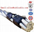 2012 All Aluminum Conductor/AAC Bare Conductors/AAC cable for Overhead Power Tra