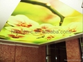 Art False ceiling  2