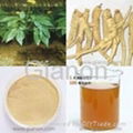 Panax Ginseng Root Extract