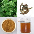 Siberian Ginseng Extract 1