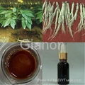 Panax Ginseng Root Oil  1