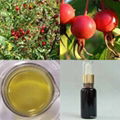 Rose Hip Oil 1