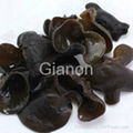 Auricularia auricula polysaccharide 1