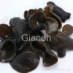 Auricularia auricula polysaccharide