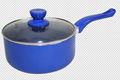 non stick sauce pan 1