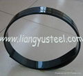 Rolling Shutter Spring Steel Strip 5