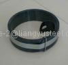 Smalll Coil  Spring Steel Strip