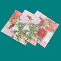 printed paper napkins 2