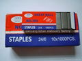 staples 2